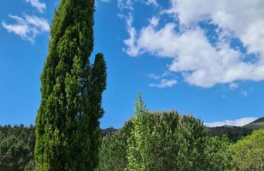 Casa Maria da Eira - Foto 37