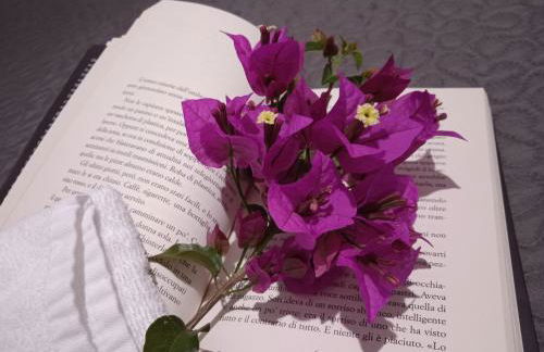 Guest House Oleandro - Foto 32