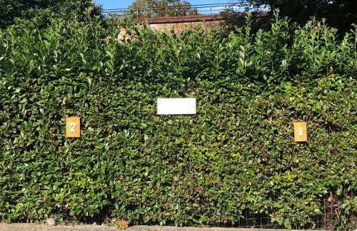 Casa Nonna Elide - Foto 24