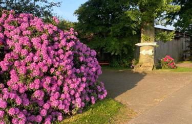 Unter Den Eichen - Foto 13
