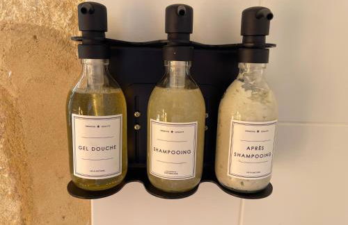 le Domaine du Trouiller - Foto 40