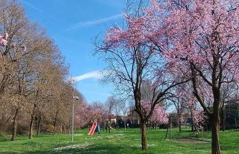 Shanti Ca' casa indipendente con giardino - Foto 23