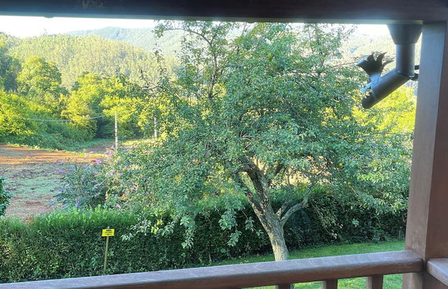 Casa Rural O Vilar - Photo 49