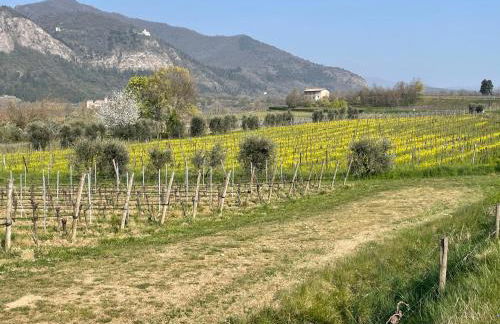 Caterina Appartamento Vacanze - Foto 20