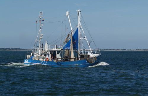 Ferienhaus Große Gaarde - Photo 12