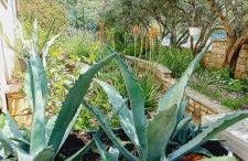 Apartments DARIJA & PERO - Foto 51