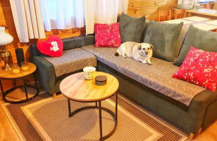 Mazurzanka - Leśny Domek w Bajkowym Zakątku - Foto 6