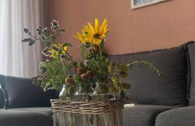 Piccola Casa - Foto 7