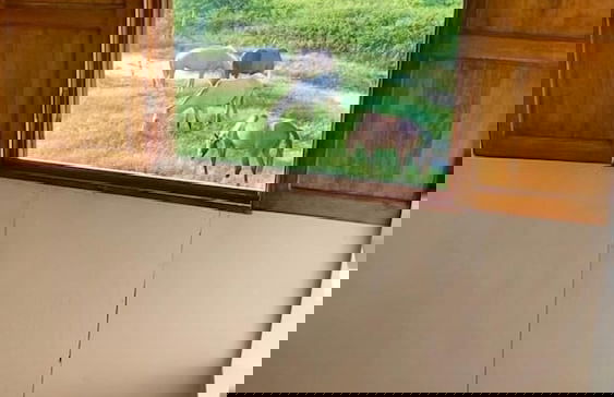 Cabaña San Andrés - Foto 26