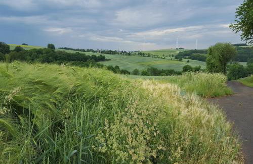 Gemutliche Ferienwohnung in Kaifenheim - Foto 54