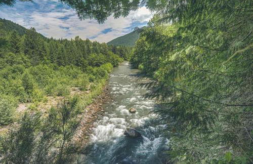 River View Cabin - Meredith Lodging - Foto 37