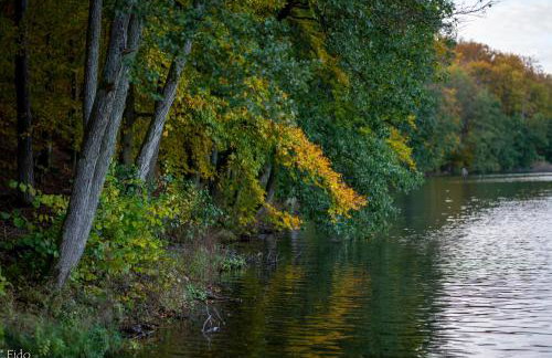 Kaszubska Odskocznia Ostoja Bukowo - Foto 57