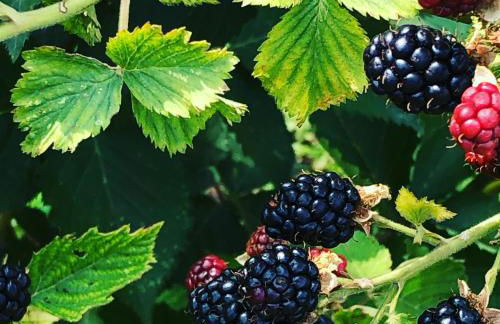 Agriturismo Villa Gaia - Foto 67