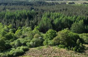 Wild Nurture Eco Luxury Offgrid Log Cabin - Foto 42