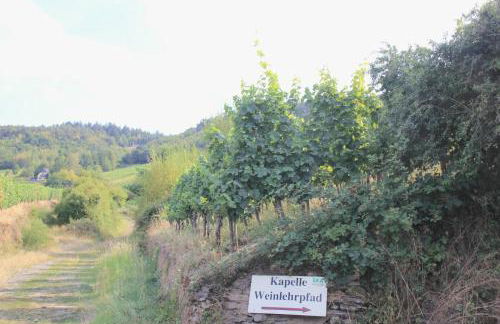 Friends and Family Leiwen - Foto 21