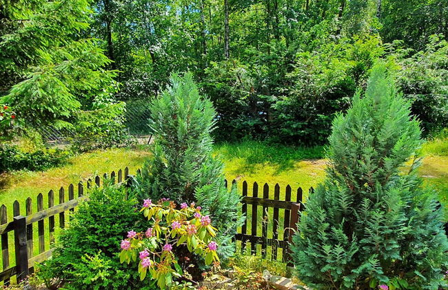 Delightful Apartment in Goslar With Garden and Terrace - Foto 29