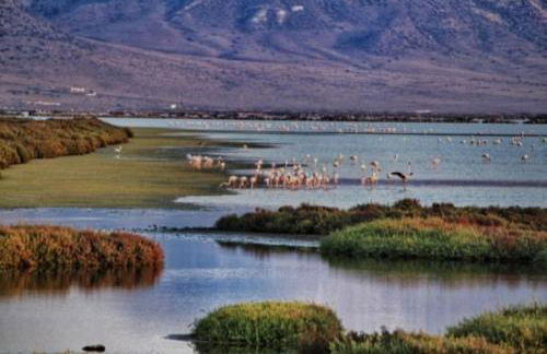 Vientos y Mares - Foto 24