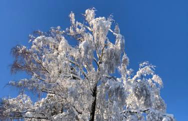 wunderschöne "Ferienwohnung-Simmerath de" Eifel NordEifel Nationalpark - Photo 30