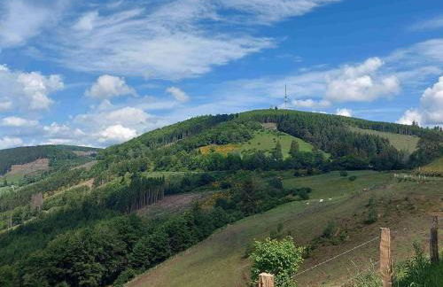 Terrace Retreat in Winterberg - Foto 78