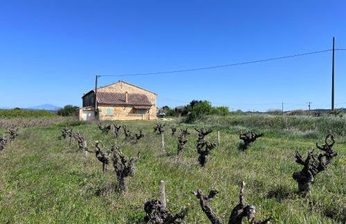 Gîte d'ysée au milieu des vignes - Foto 1