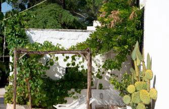 Masseria Trulli&Stelle B&B - Foto 80