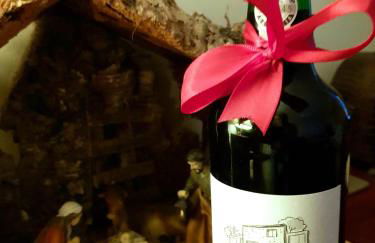 Casa do Lavadouro - Foto 20