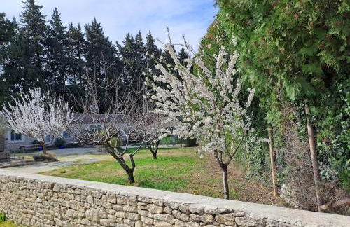 Domaine des Vergers - Foto 28