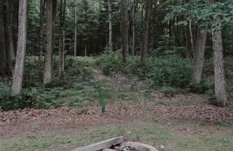 Lake Huron Lady of the Lake Cabin w HotTub, Sauna - Foto 30