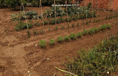 Casa Pepe de L´ullat - Photo 15