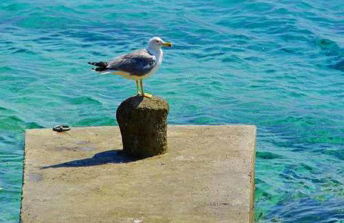 Villa Nova - Foto 20