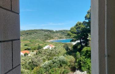 VILLA Apartments Mate Cebalo - Foto 48