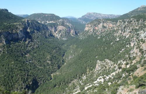 El Palomar de Peñarrubia - Foto 26