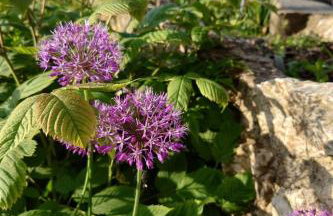 Apartment Kerstin by Interhome - Foto 17