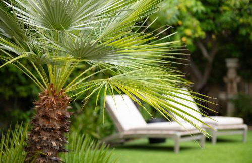 Lucille Palm Springs - Foto 48