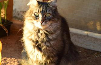 Flaschtal-Hof - Foto 17