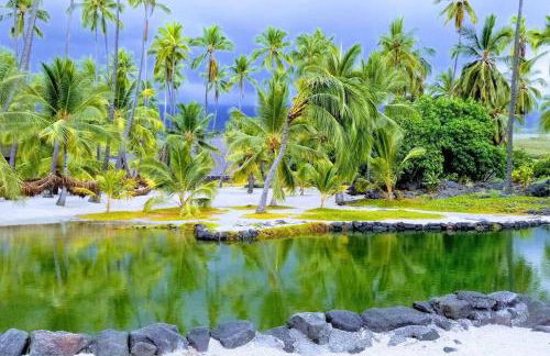 Ohana Beach Retreat at the Surf and Racquet Club - Foto 44