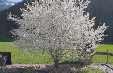 Fewo Wertachliebe - Photo 27