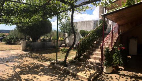 Elena - Foto 5, Garden