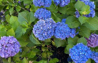 Modern Farmhouse Retreat North Fork Wine Country - Foto 59