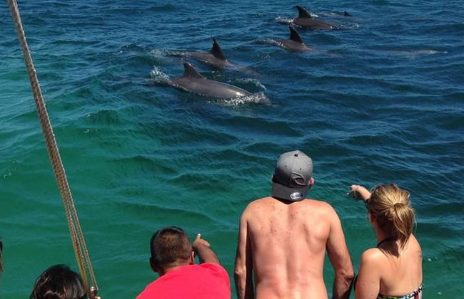 Nelson Bay Breeze Holiday Apartments - Foto 36