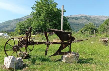 Balentziaga - Photo 25