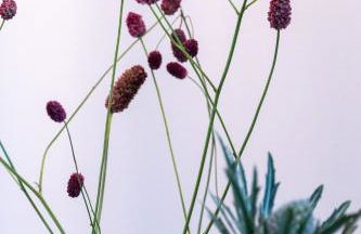 Die Nummer eins - Ferienwohnungen Hufnagel - Foto 23