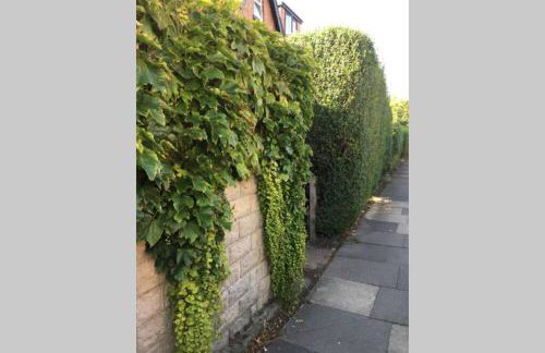 Apartment 61 - Foto 16