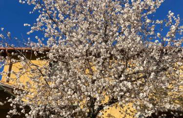 Agriturismo Is Conchisceddas - Foto 33