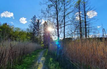 Chalet Zugspitze, Kamin, Tiere - Foto 25