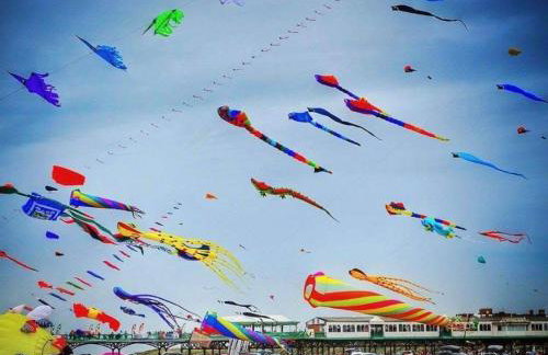 Seaside Serenity - Photo 51