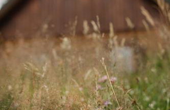 Osada Jelonki Wielka Puszcza - Foto 42