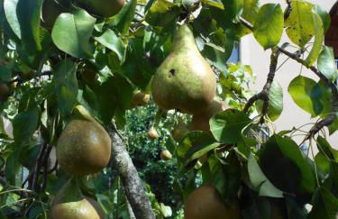 CA`L MOSSEN - Foto 19