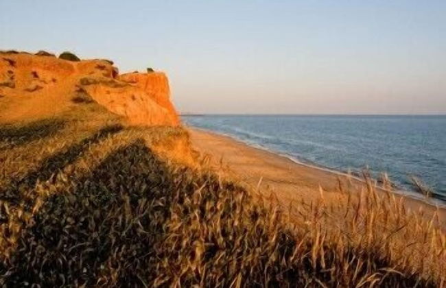 Quinta do Mel - Foto 53