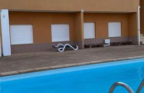 Apartament Els Flamencs - Foto 26